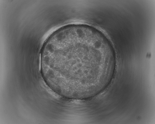 X0000112031175200908241531