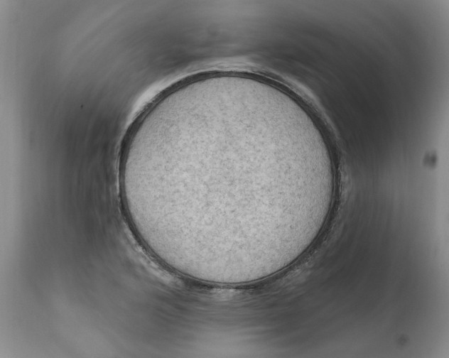 X0000112031176200908241531