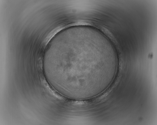 X0000112031177200908241531