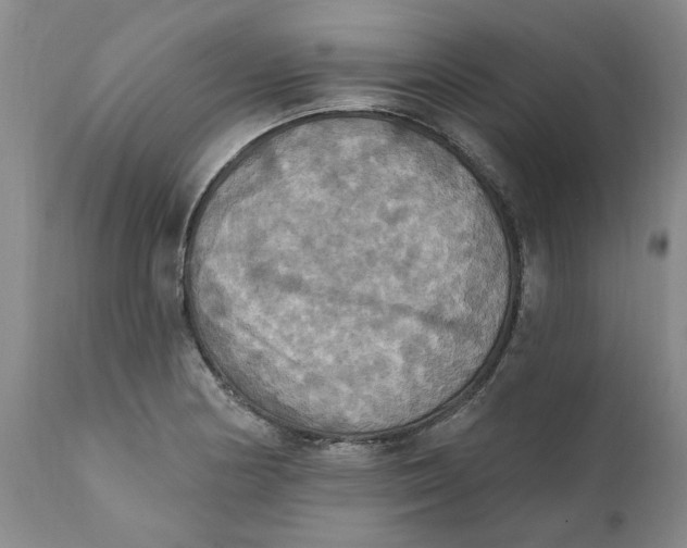 X0000112031178200908241531