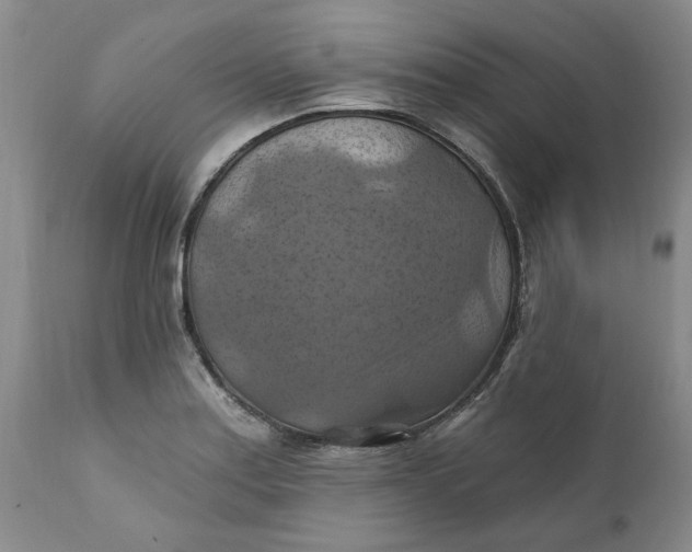 X0000112031179200908241531