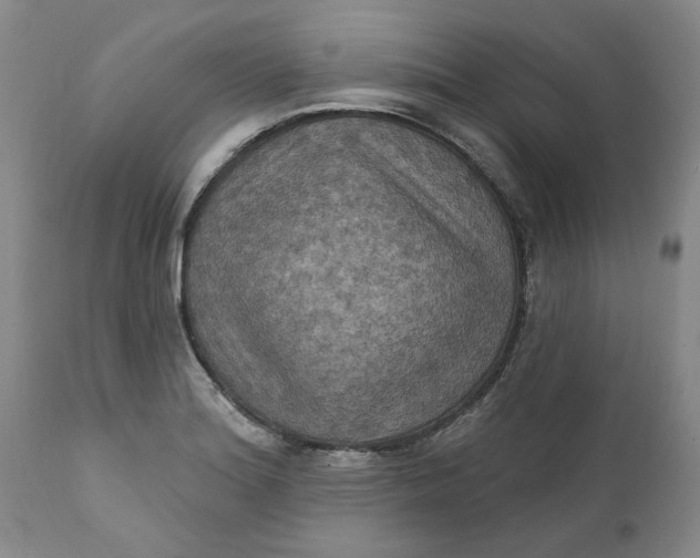 X0000112031180200908241531