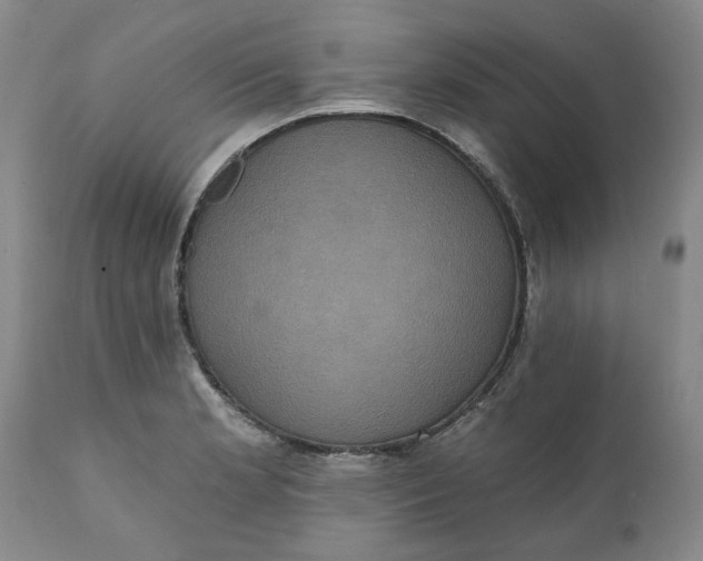 X0000112031181200908241531