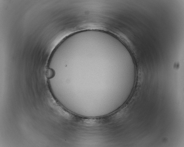 X0000112031182200908241531