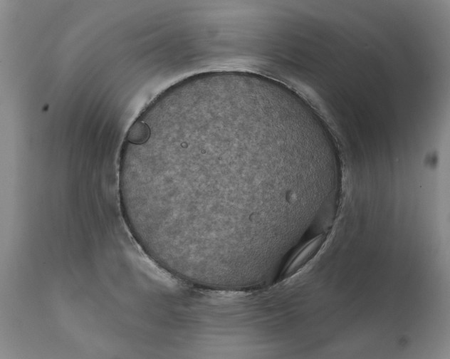 X0000112031184200908241531