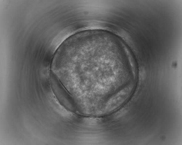 X0000112031185200908241531