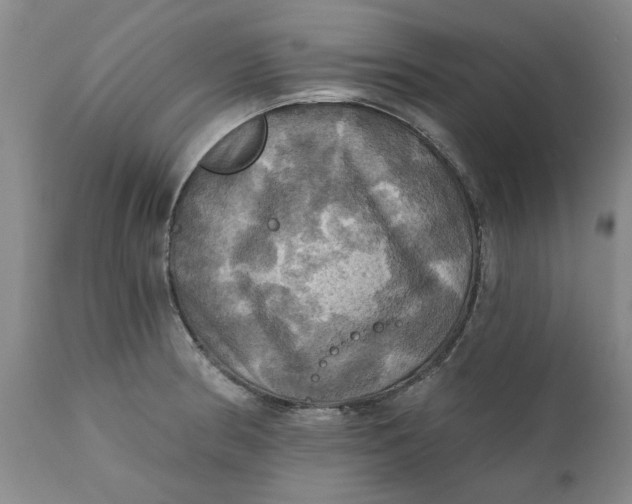 X0000112031186200908241531