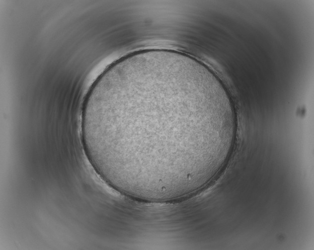 X0000112031188200908241531