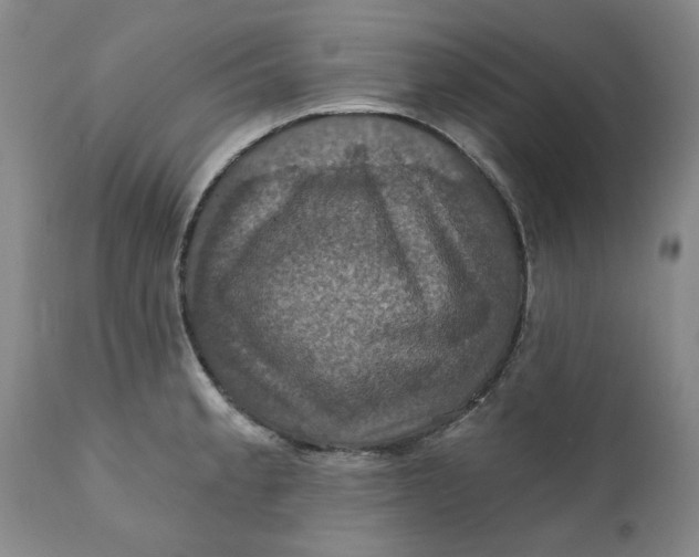 X0000112031189200908241531