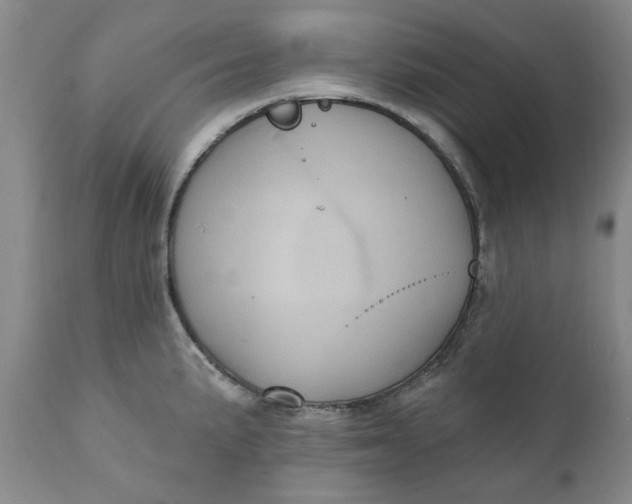 X0000112031191200908241531