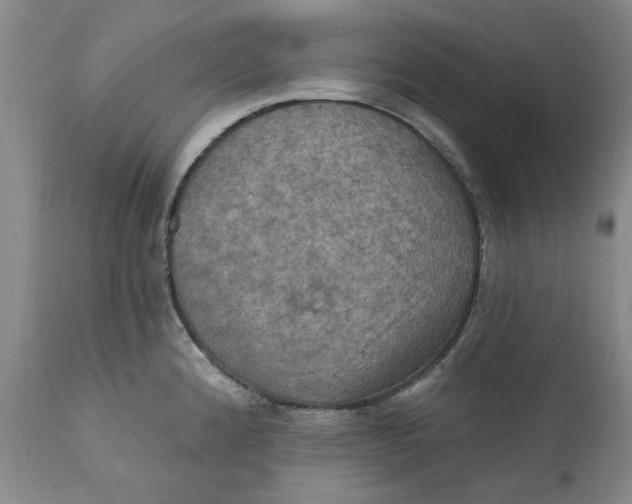 X0000112031192200908241531