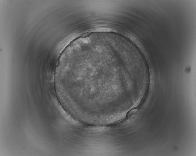 X0000112031193200908241531