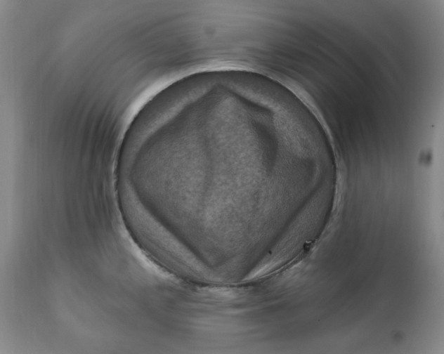 X0000112031197200908241531