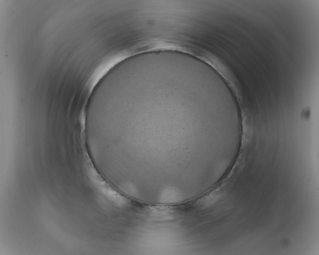 X0000112031198200908241531