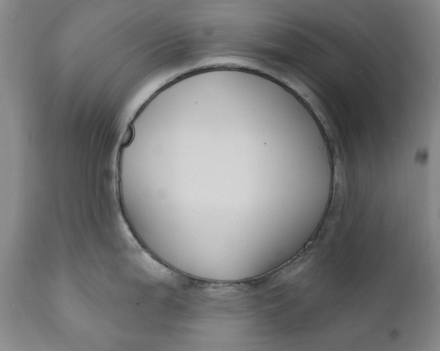 X0000112031199200908241531