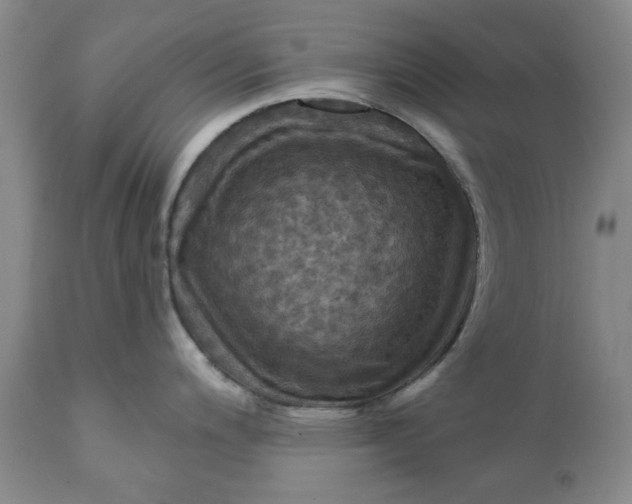 X0000112031200200908241530