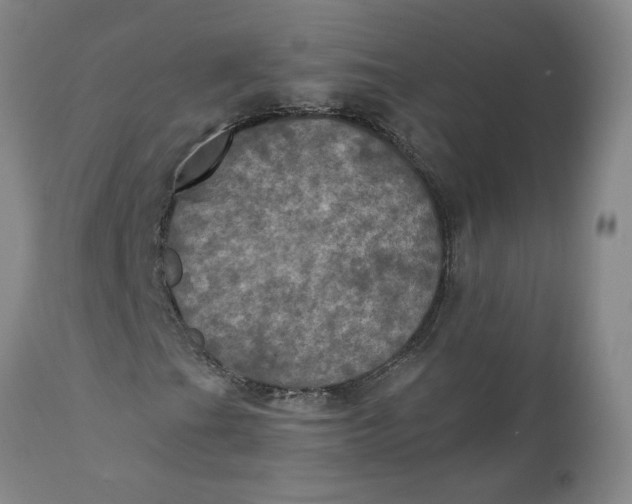 X0000112031201200908241530