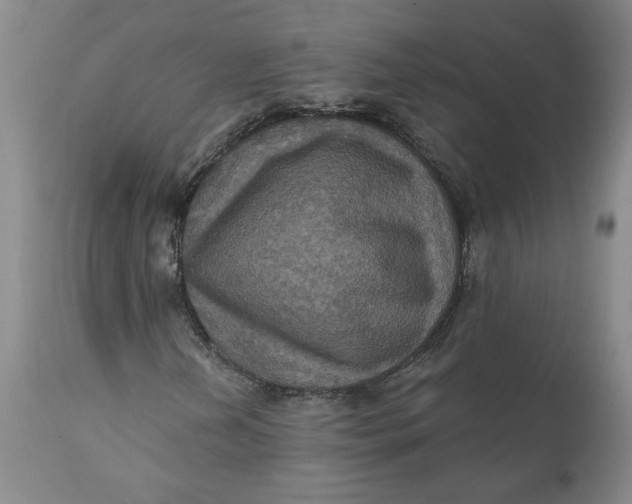 X0000112031202200908241530