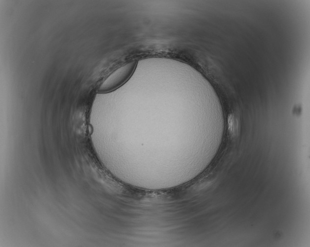 X0000112031203200908241530