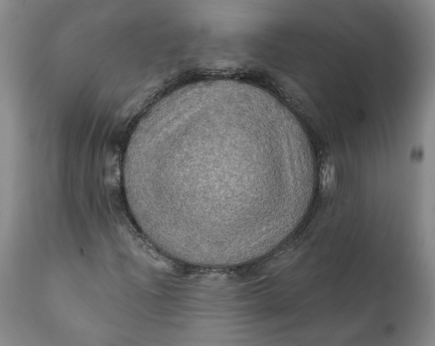 X0000112031204200908241530