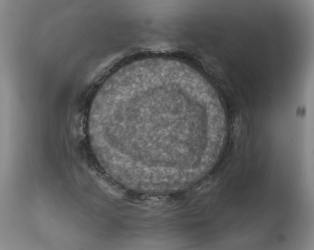 X0000112031205200908241530