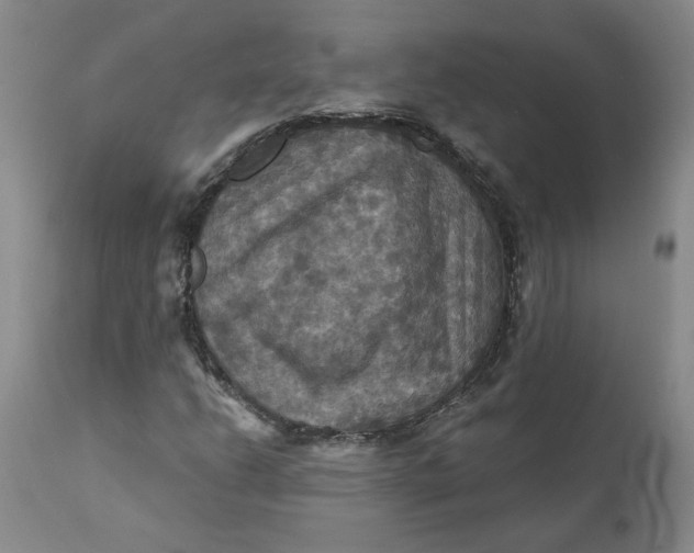 X0000112031206200908241530