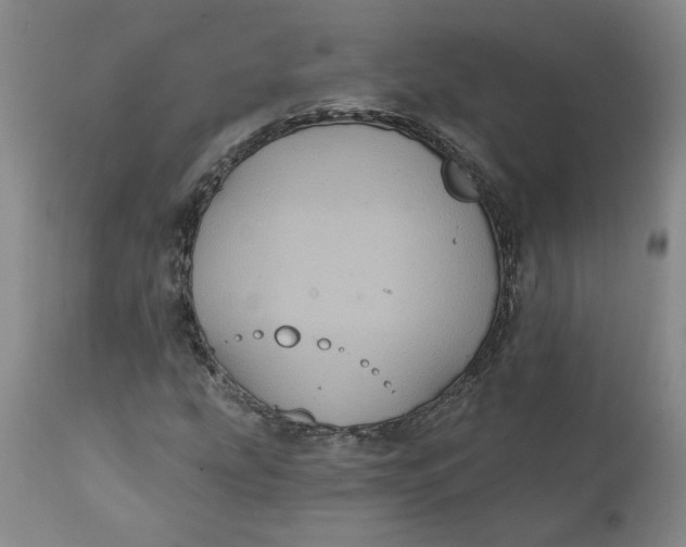 X0000112031207200908241530