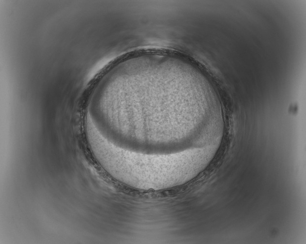 X0000112031208200908241530