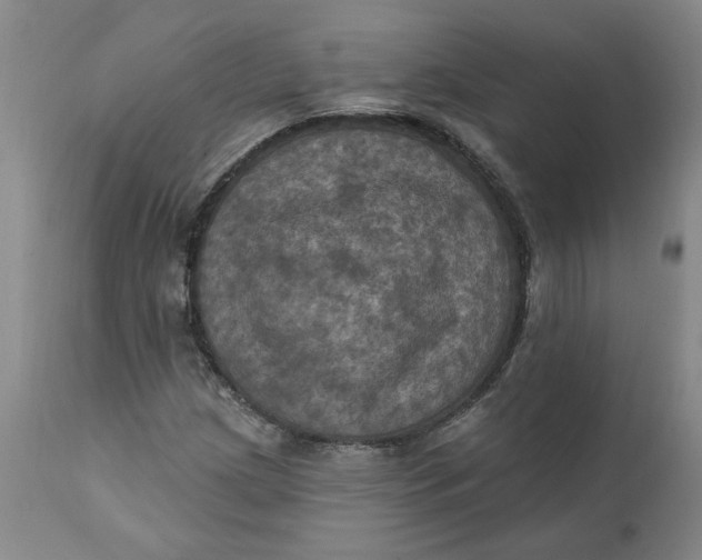 X0000112031209200908241530