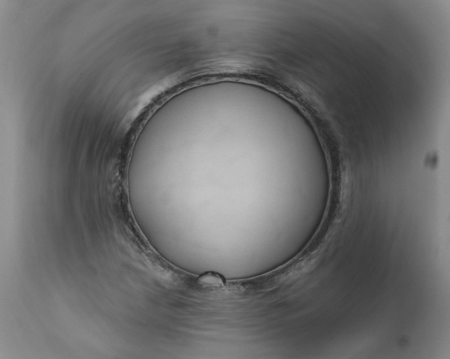 X0000112031210200908241530