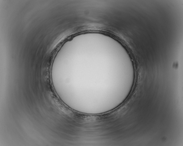 X0000112031211200908241530