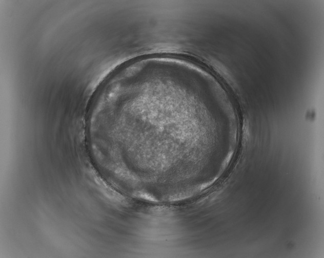 X0000112031212200908241530