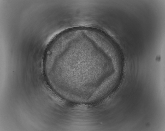 X0000112031214200908241530