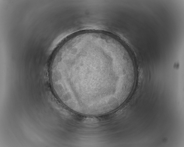 X0000112031215200908241530