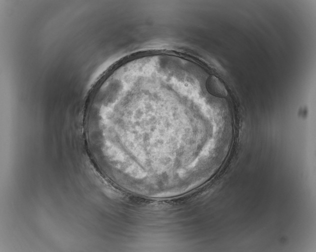 X0000112031216200908241530