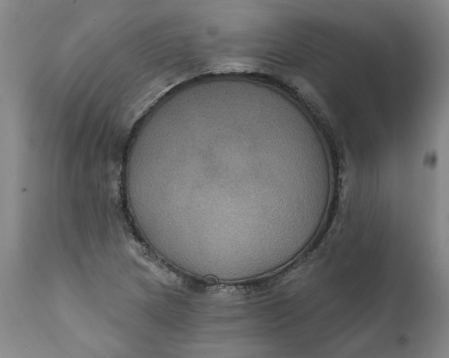 X0000112031217200908241530