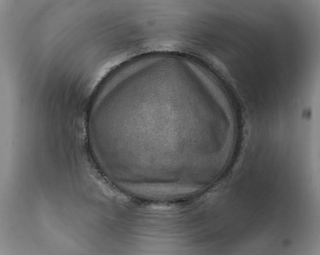 X0000112031218200908241530