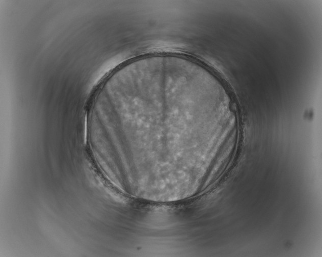 X0000112031219200908241530