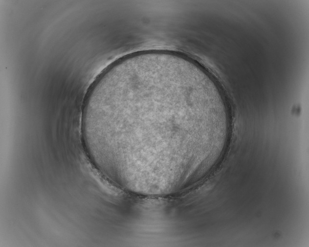 X0000112031220200908241530