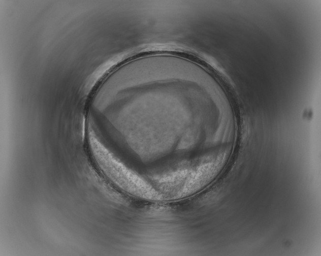 X0000112031221200908241530