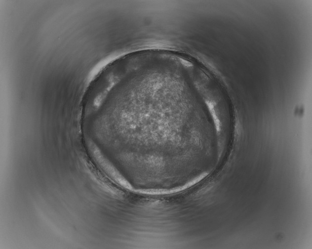 X0000112031222200908241530