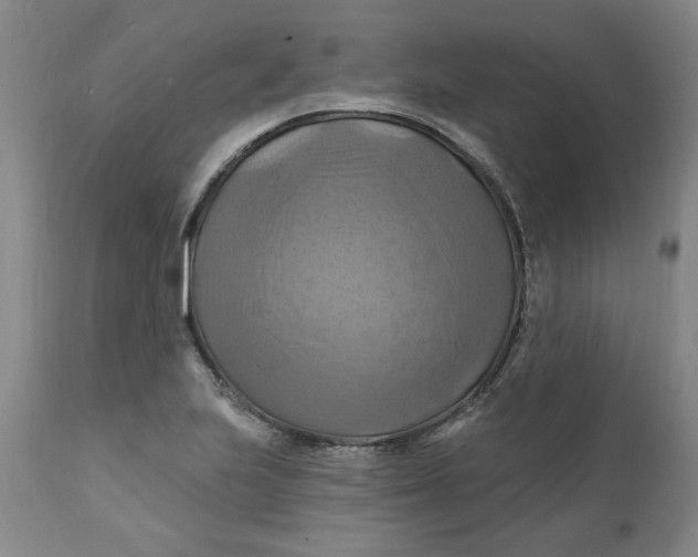 X0000112031223200908241530