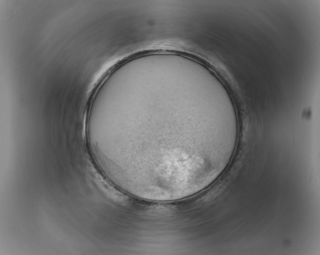 X0000112031224200908241530