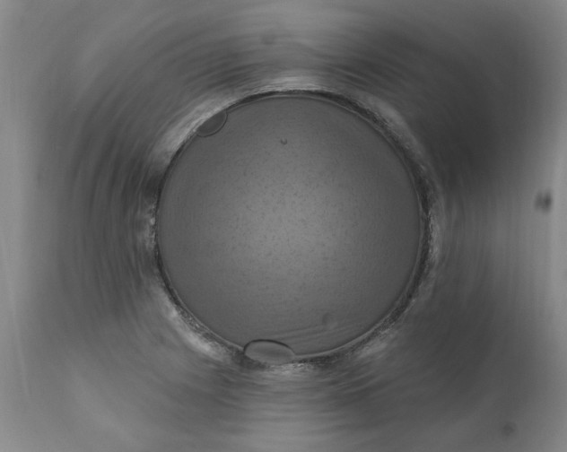 X0000112031225200908241530