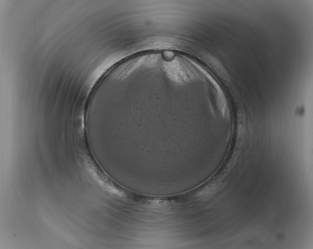 X0000112031226200908241530