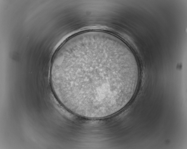 X0000112031228200908241530