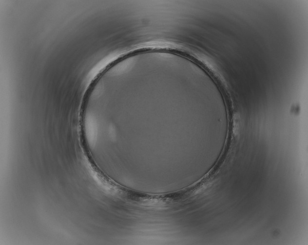 X0000112031229200908241530