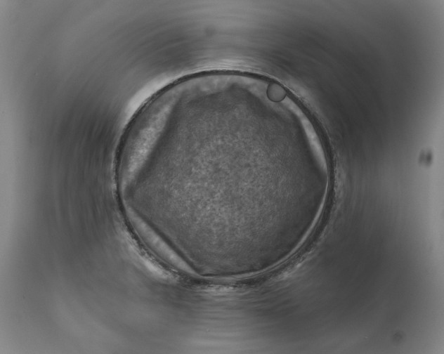 X0000112031230200908241530