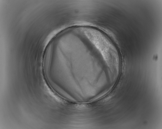 X0000112031231200908241530