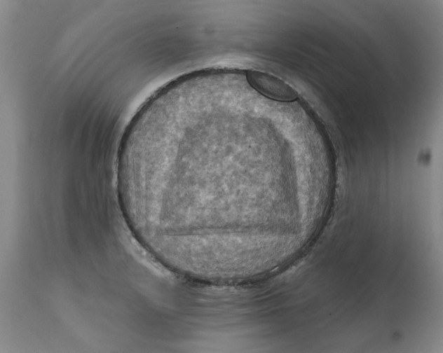 X0000112031232200908241530